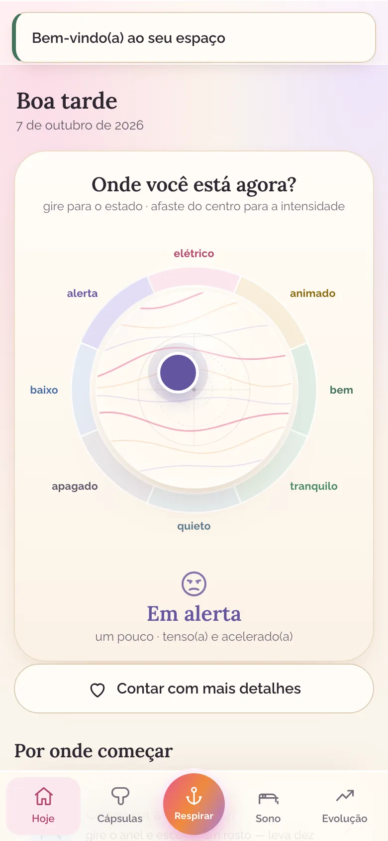 Roda das emoções do app